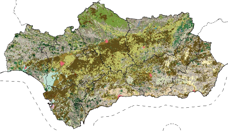 overview