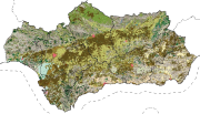 overview