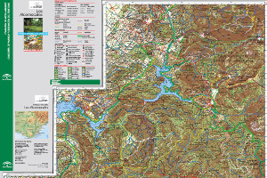 overview