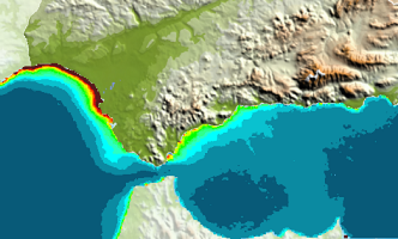 overview