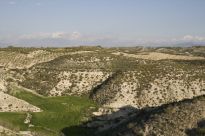 overview