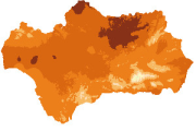 overview