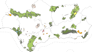 overview