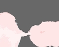 overview