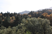 overview
