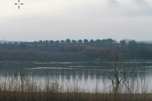 overview