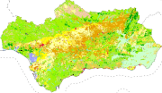 overview