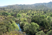 overview