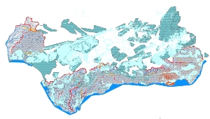 overview