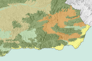 overview