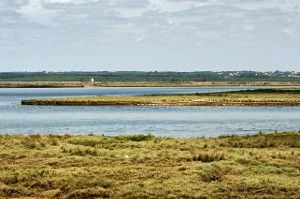 overview