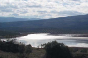 overview