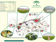 overview