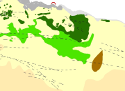 overview