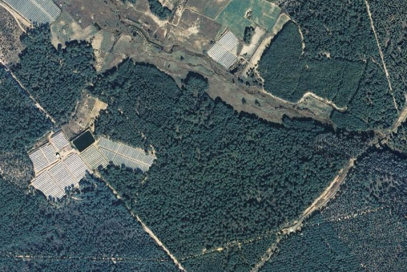 overview