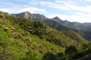 overview