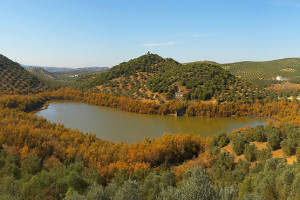overview