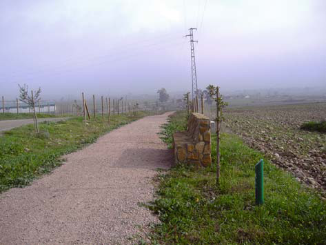 overview