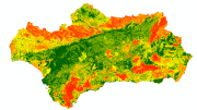 overview