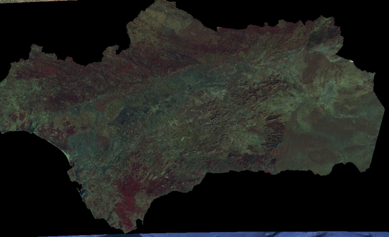 overview