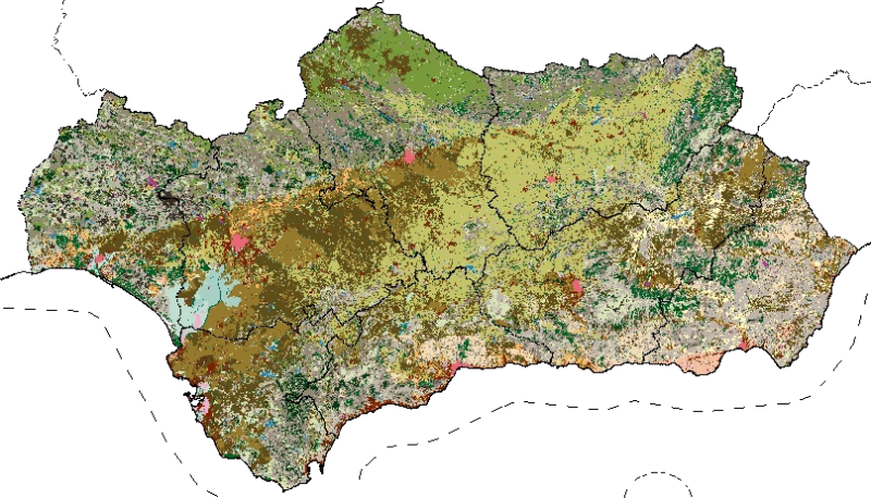 overview