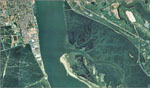 overview