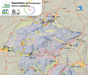 overview