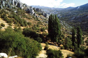 overview