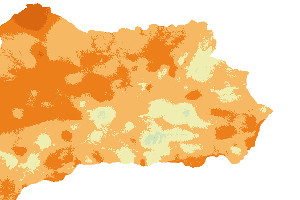 overview