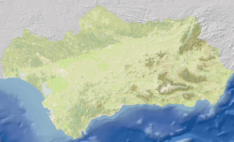 overview