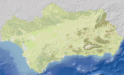 overview