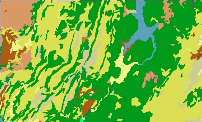 overview