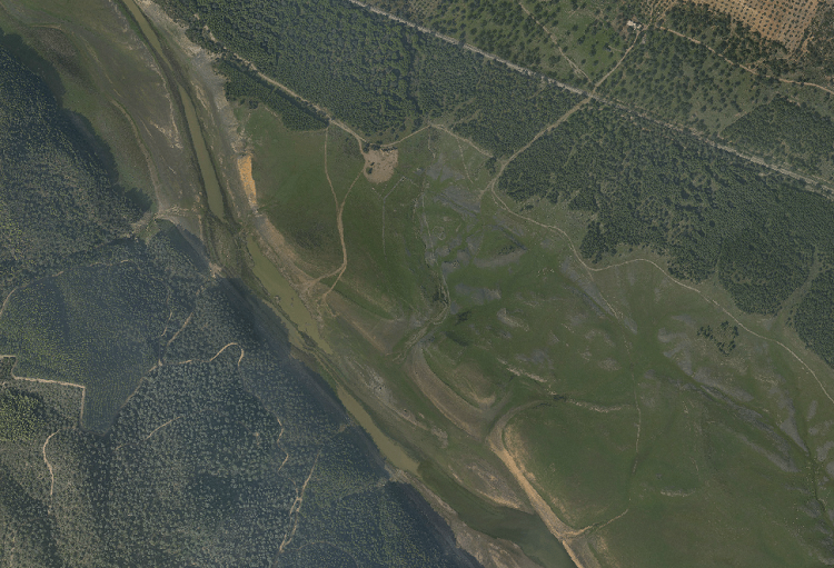 overview