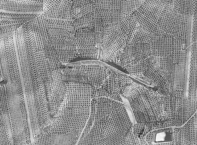 overview