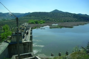 overview