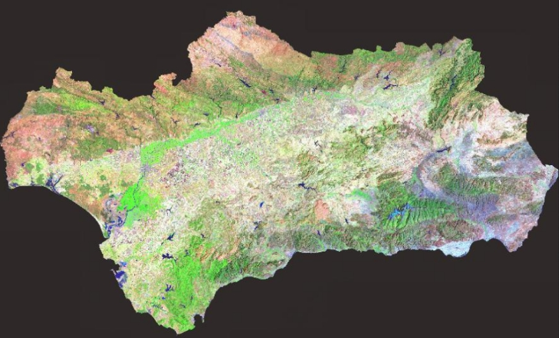 overview