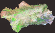 overview