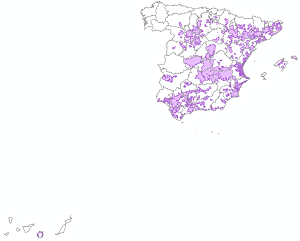 overview