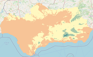 overview