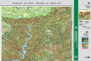 overview