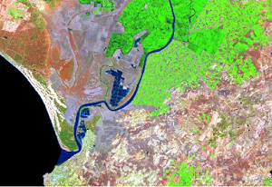 overview