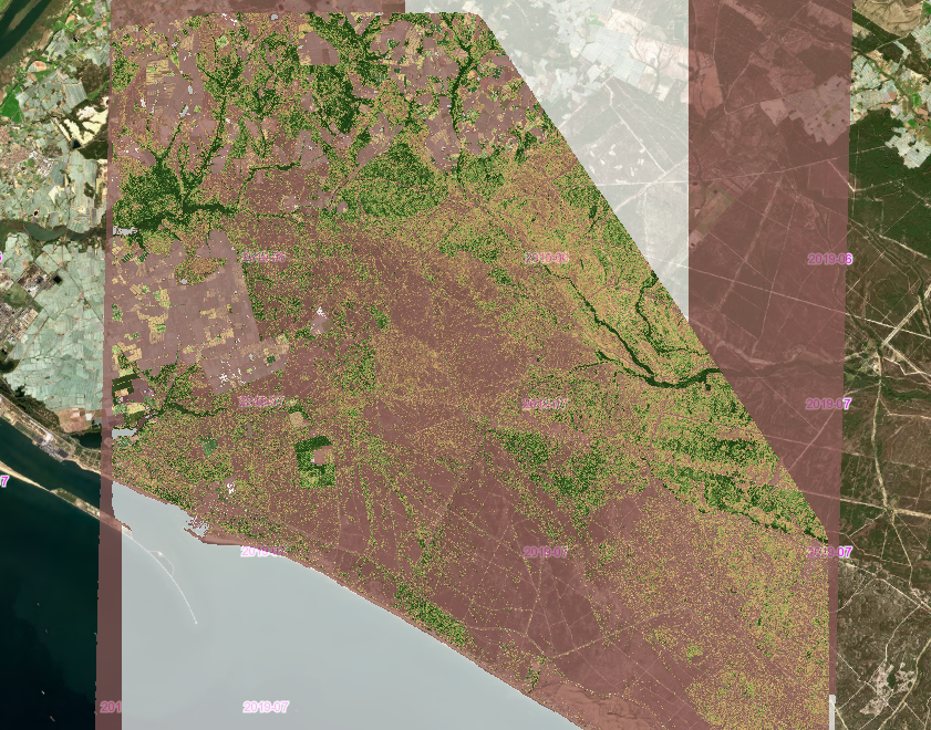 overview