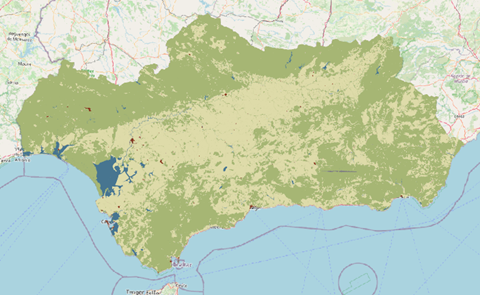 overview