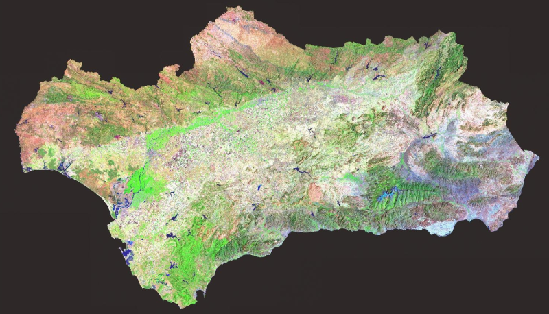 overview
