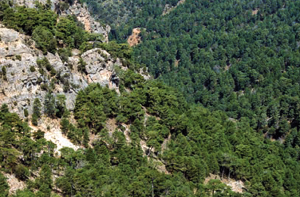 overview
