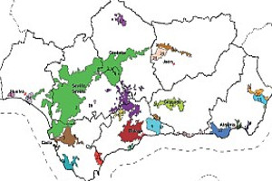 overview