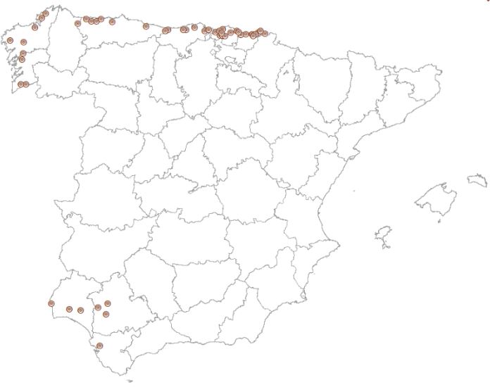 overview