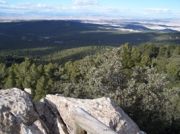 overview