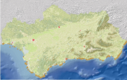overview
