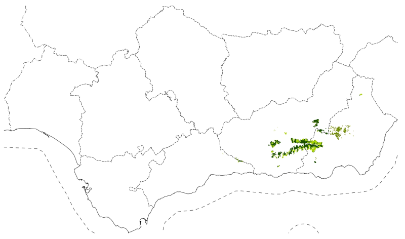overview